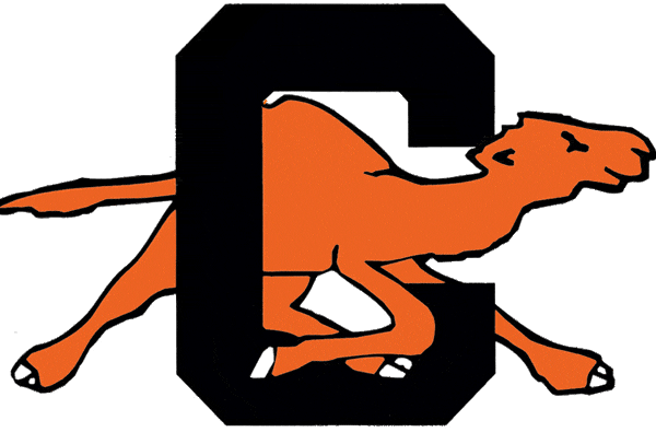 Campbell Fighting Camels 1993-2004 Primary Logo DIY iron on transfer (heat transfer)